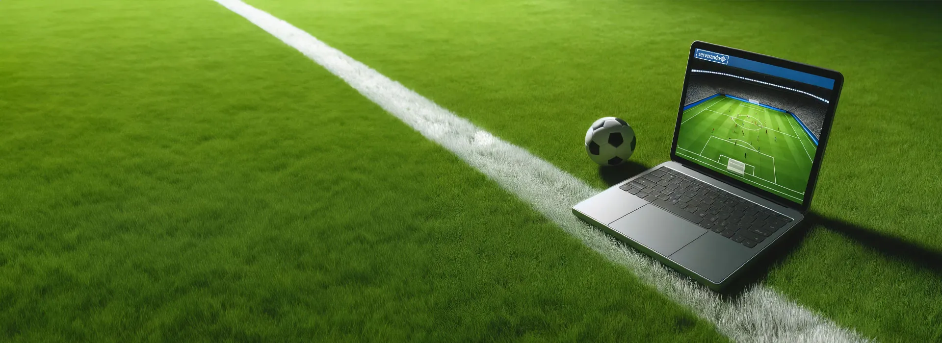 EM-Aktion-2024-Banner