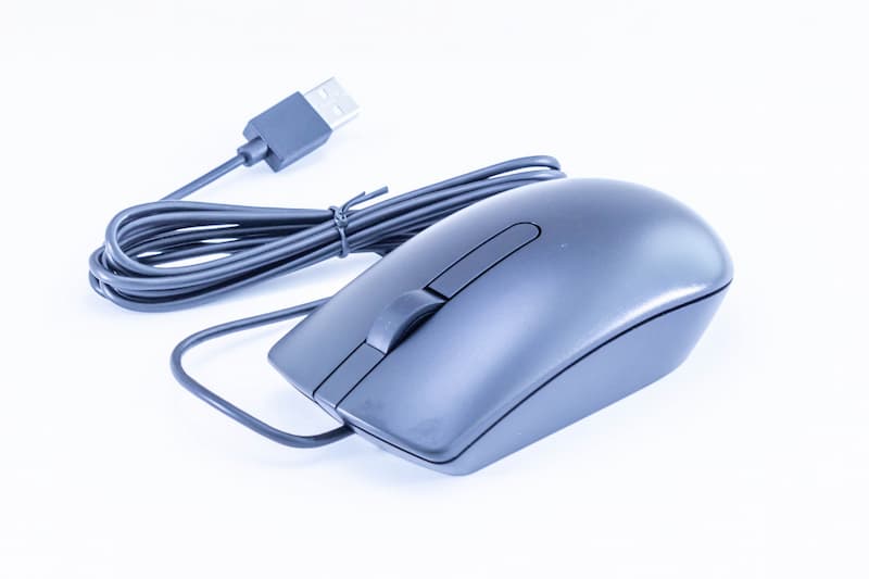 DELL Optical Mouse MS116, USB, LED tracking, black. 3-Pack